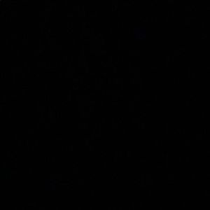 Meet your Posher, Jose